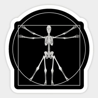 human skeleton Vitruvian Sticker